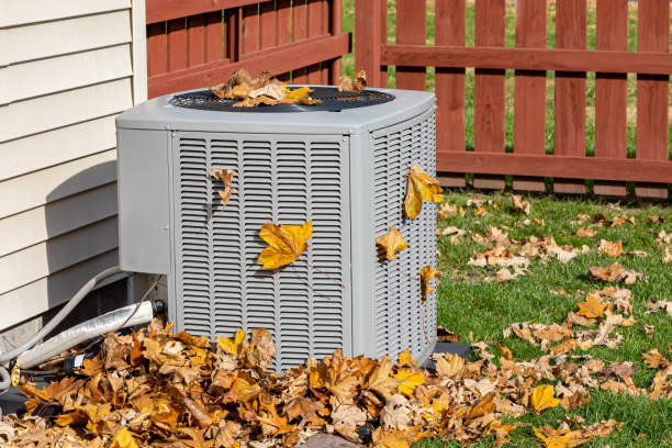 Air Duct Cleaning in Rio Grande City, TX